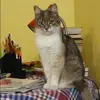 Отзыв от Вика Авдеева